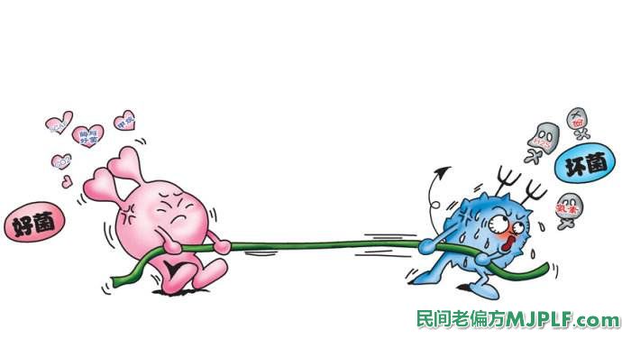 萎缩性鼻炎偏方